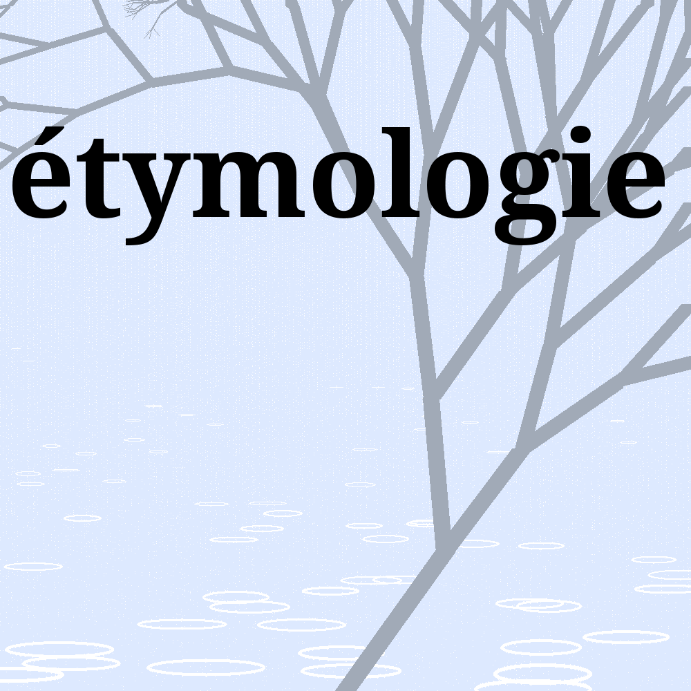 image etymologie - définition du mot image